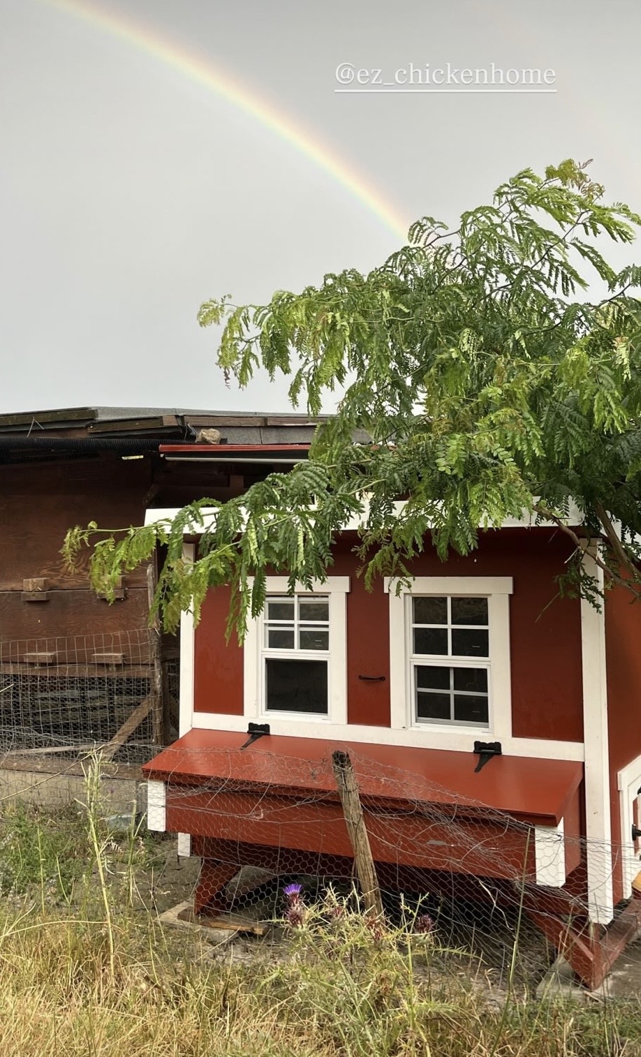 Kunden photo EZ Chicken Home 3